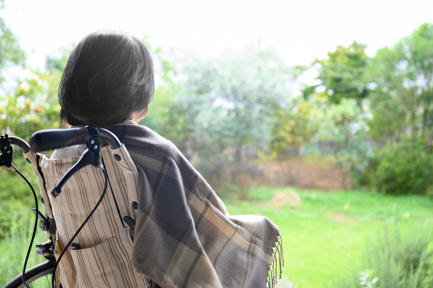 車椅子で外を眺める高齢者の後ろ姿